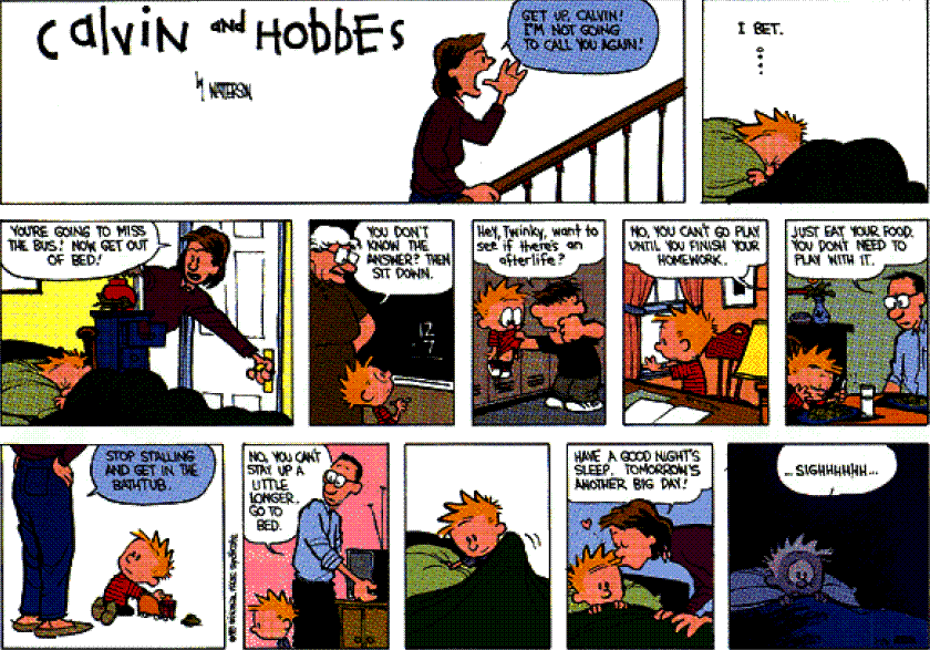 Calvin 350.GIF